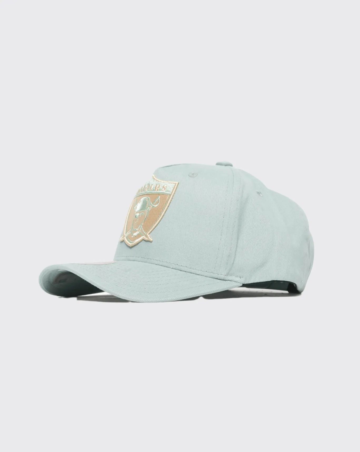 Mitchell and Ness Seasonal Core Raiders